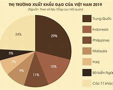 Các Thị Trường Xuất Khẩu Gạo Của Việt Nam