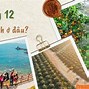 Du Lịch Nước Ngoài Tháng 12 Nên Đi Đâu