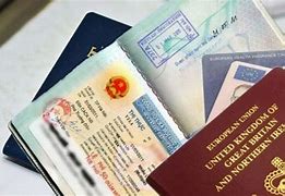 Visa Mỹ Loại R F1